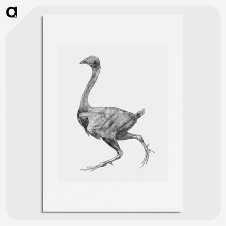 1-58_George-Stubbs_picture