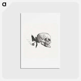 アートポストカード-Tailpiece from Au Pied du Sinaï - アンリ ド トゥールーズ ロートレック Postcard.