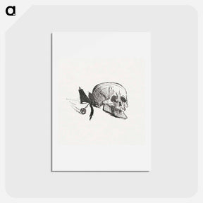 アートポストカード-Tailpiece from Au Pied du Sinaï - アンリ ド トゥールーズ ロートレック Postcard.