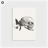 アートポストカード-Tailpiece from Au Pied du Sinaï - アンリ ド トゥールーズ ロートレック Postcard.