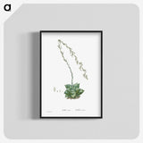 1-58_Histoire-des-Plantes-Grasses_blk-crop