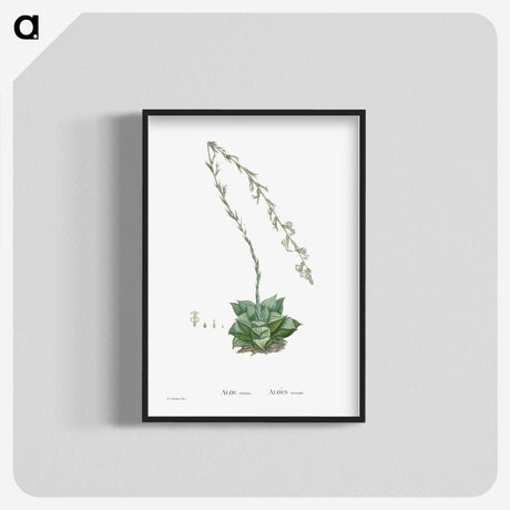 1-58_Histoire-des-Plantes-Grasses_blk-crop
