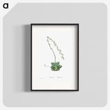 1-58_Histoire-des-Plantes-Grasses_blk
