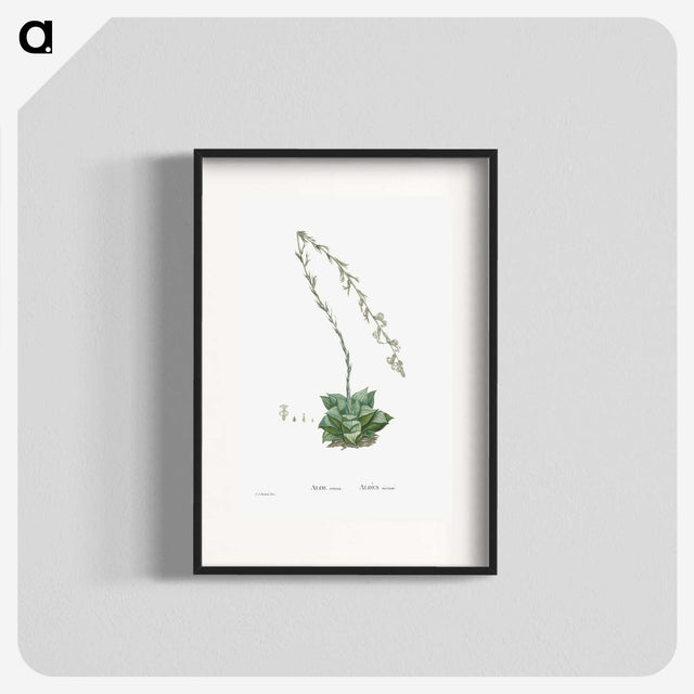 1-58_Histoire-des-Plantes-Grasses_blk