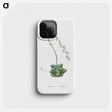 1-58_Histoire-des-Plantes-Grasses_phone