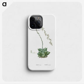 1-58_Histoire-des-Plantes-Grasses_phone