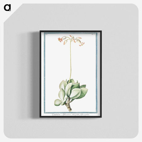 1-58_Hortus-Romanus-Botanical-Plates_blk-crop