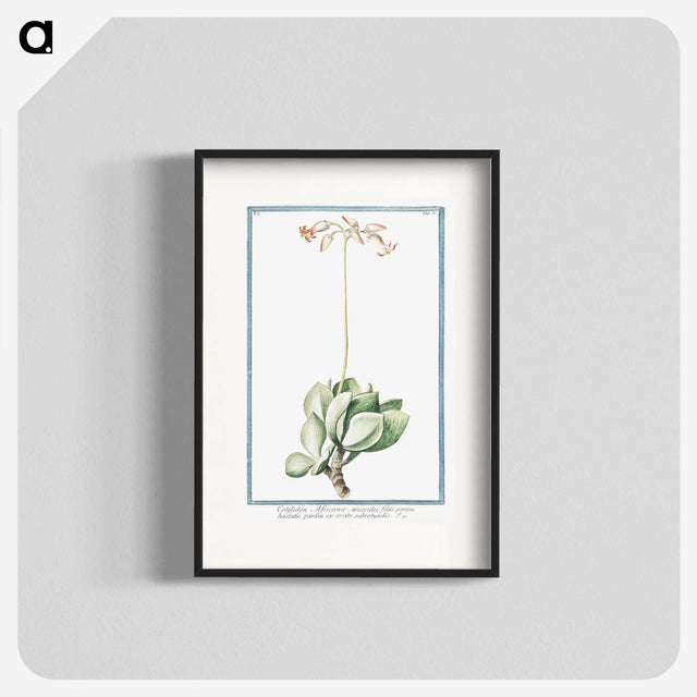 1-58_Hortus-Romanus-Botanical-Plates_blk