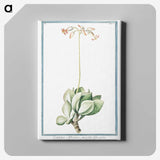 1-58_Hortus-Romanus-Botanical-Plates_canvas