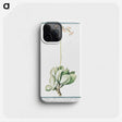1-58_Hortus-Romanus-Botanical-Plates_phone