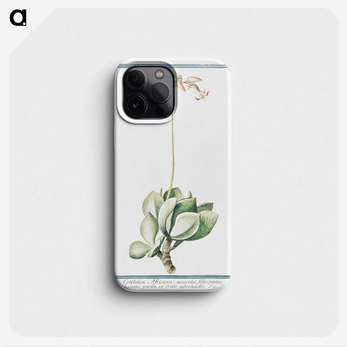 1-58_Hortus-Romanus-Botanical-Plates_phone