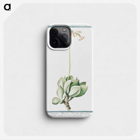 1-58_Hortus-Romanus-Botanical-Plates_phone