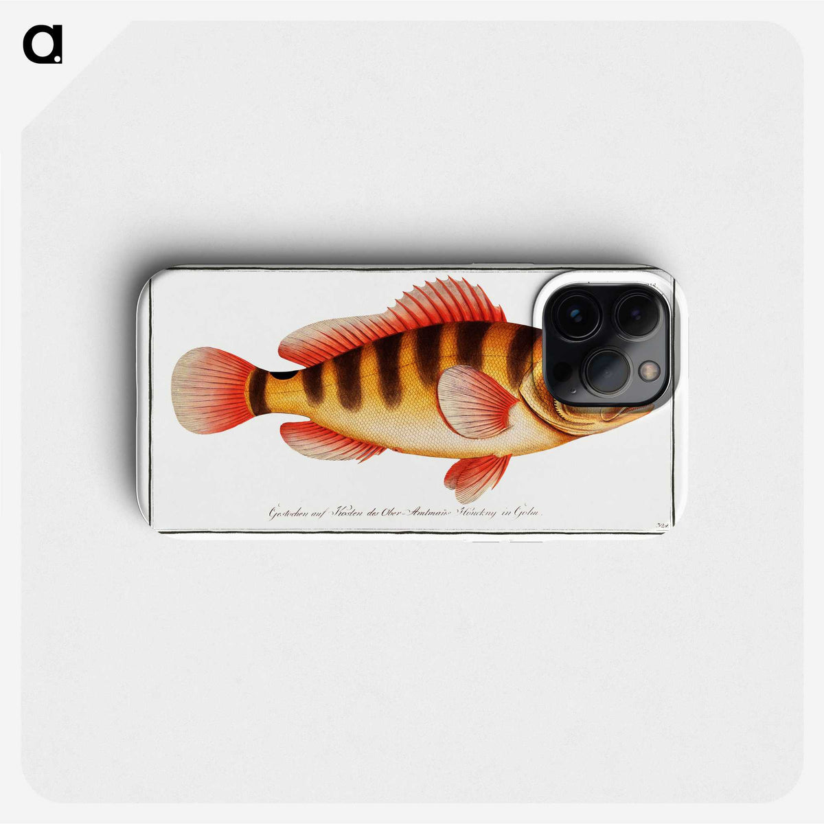 1-58_Ichtyologie-ou-Histoire-naturelle_phone