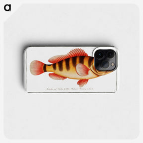 1-58_Ichtyologie-ou-Histoire-naturelle_phone