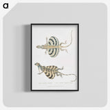 1-58_Indian-Zoology_blk-crop