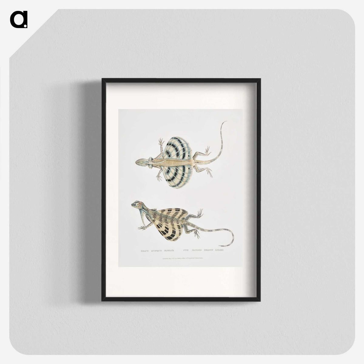 1-58_Indian-Zoology_blk