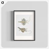 1-58_Indian-Zoology_blk