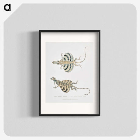 1-58_Indian-Zoology_blk