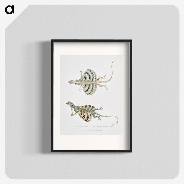 1-58_Indian-Zoology_blk