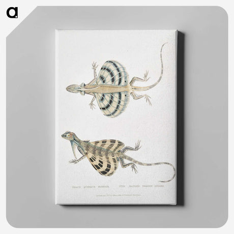1-58_Indian-Zoology_canvas