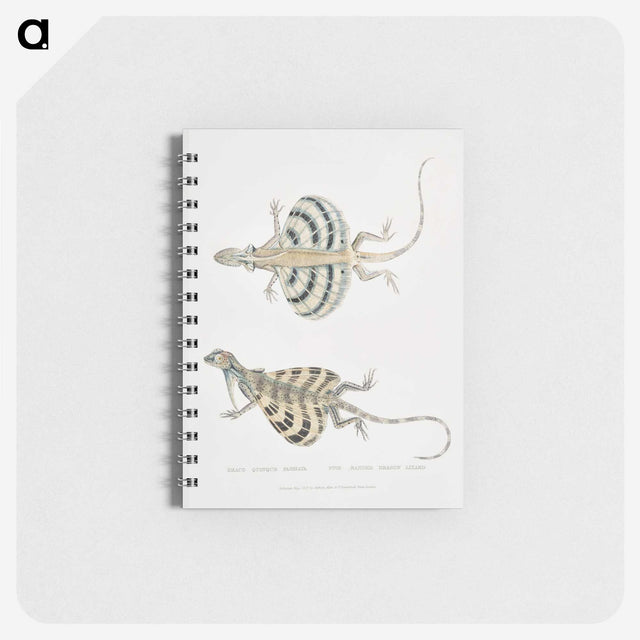 1-58_Indian-Zoology_memo