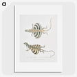 1-58_Indian-Zoology_picture
