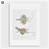 1-58_Indian-Zoology_picture