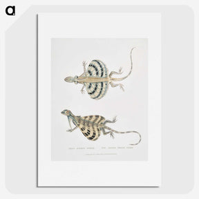 1-58_Indian-Zoology_picture