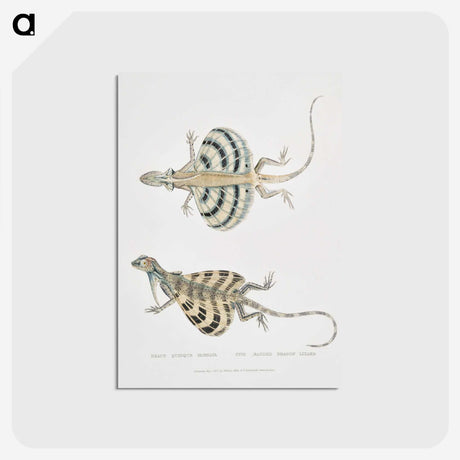 1-58_Indian-Zoology_postcard