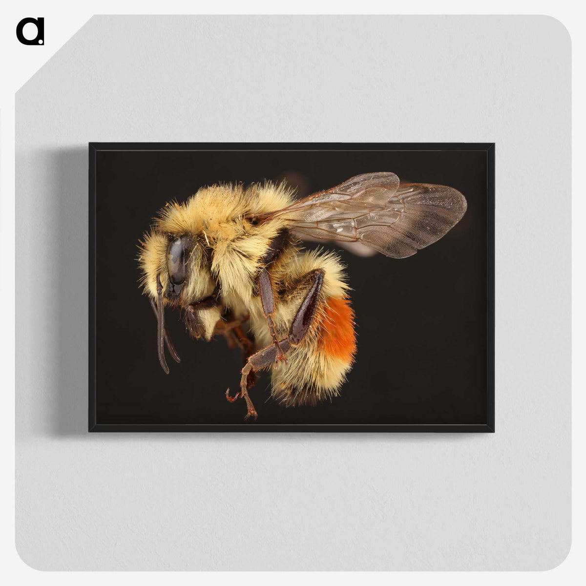 1-58_Insects-Unlocked-Project_blk-crop