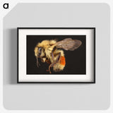 1-58_Insects-Unlocked-Project_blk