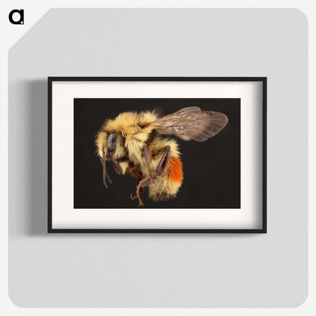 1-58_Insects-Unlocked-Project_blk