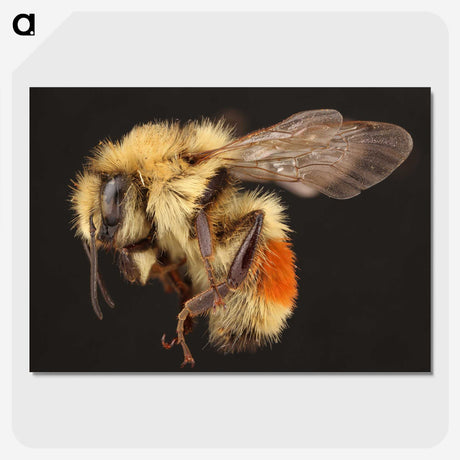 1-58_Insects-Unlocked-Project_picture-crop