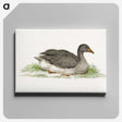 1-58_Jean-Bernard_canvas