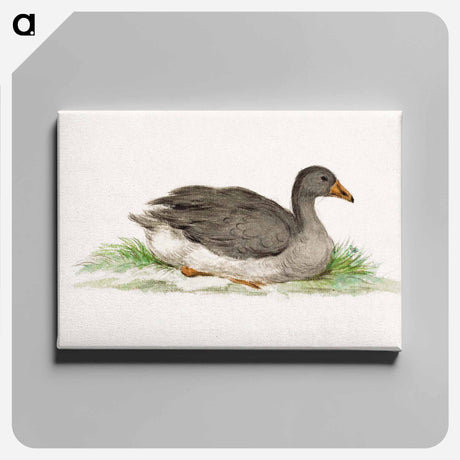 アートパネル-Duck - ジャン ベルナール Canvas.
