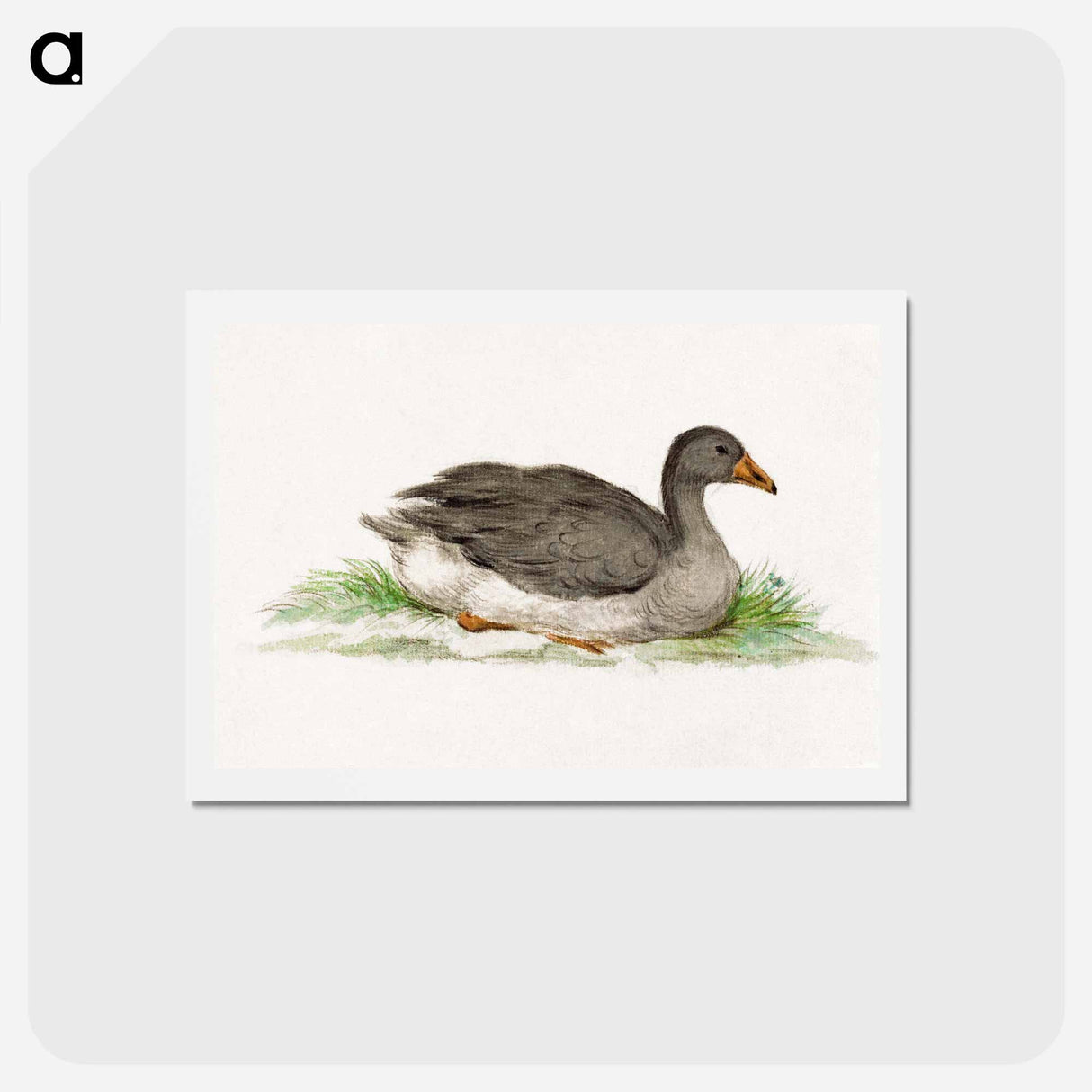 アートポストカード-Duck - ジャン ベルナール Postcard.