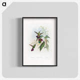 1-58_John-Gould_blk