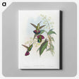 1-58_John-Gould_canvas