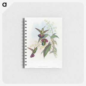 1-58_John-Gould_memo