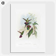 1-58_John-Gould_picture