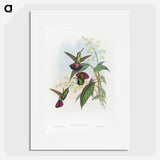 1-58_John-Gould_picture