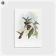 1-58_John-Gould_postcard