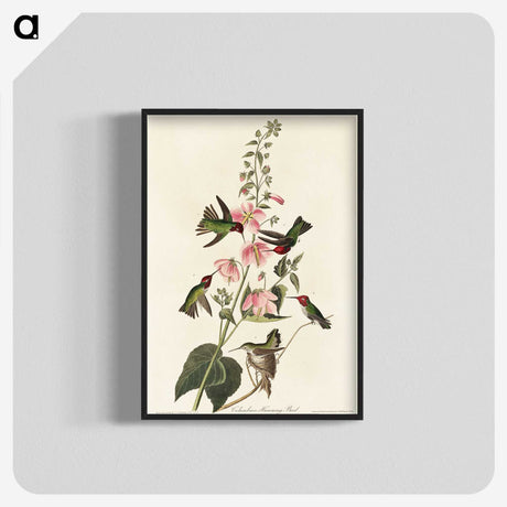 1-58_John-James-Audubon_blk-crop