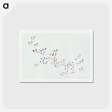 アートポストカード-Cho senshu - 神坂 雪佳 Postcard.