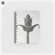 1-58_Karl-Blossfeldt_memo