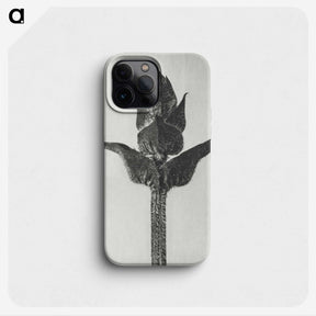 1-58_Karl-Blossfeldt_phone