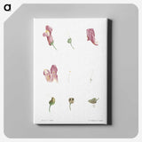 1-58_La-Botanique_canvas