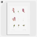 1-58_La-Botanique_picture