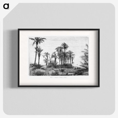 1-58_Les-Palmiers-Histoire-Iconographique_blk