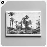 1-58_Les-Palmiers-Histoire-Iconographique_canvas
